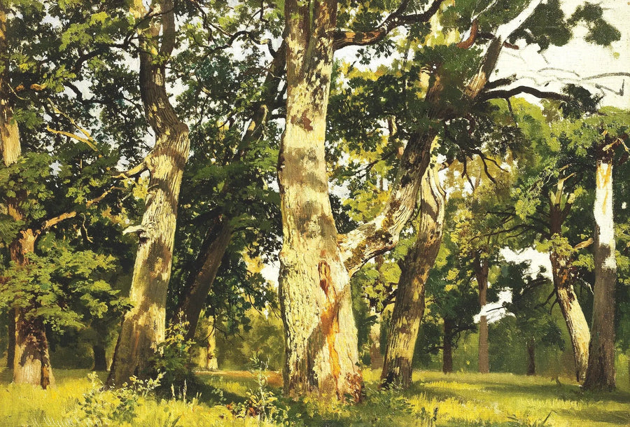 Oaks. Evening - Ivan Chichkine