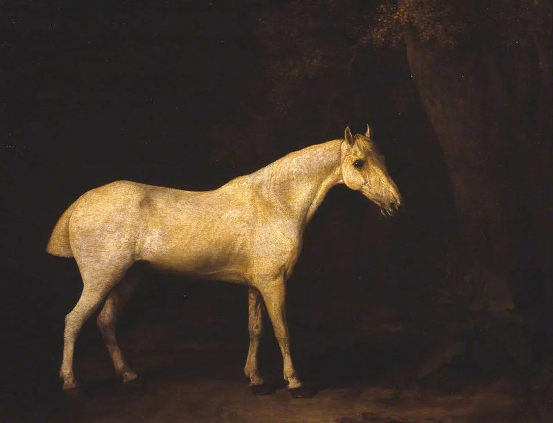 Horse in the shade of a wood - George Stubbs