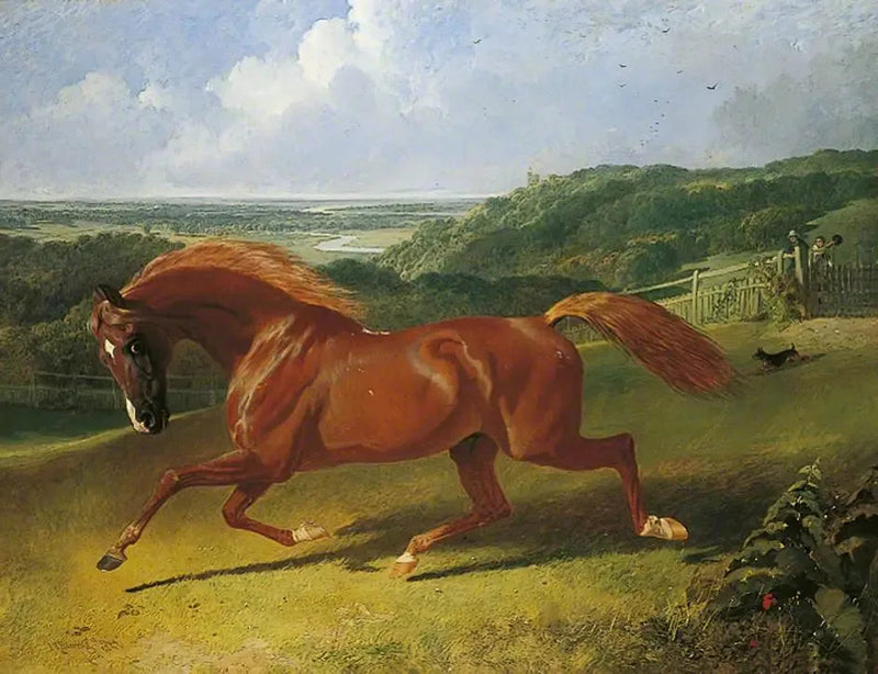 Galloping horse in a field - John Frederick Herring, Sr.