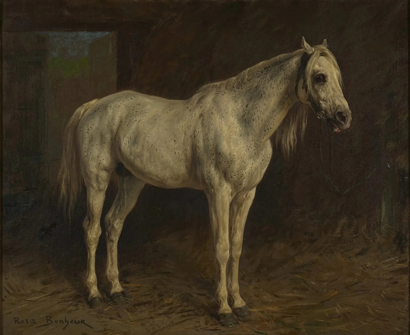 White Horse - Rosa Bonheur