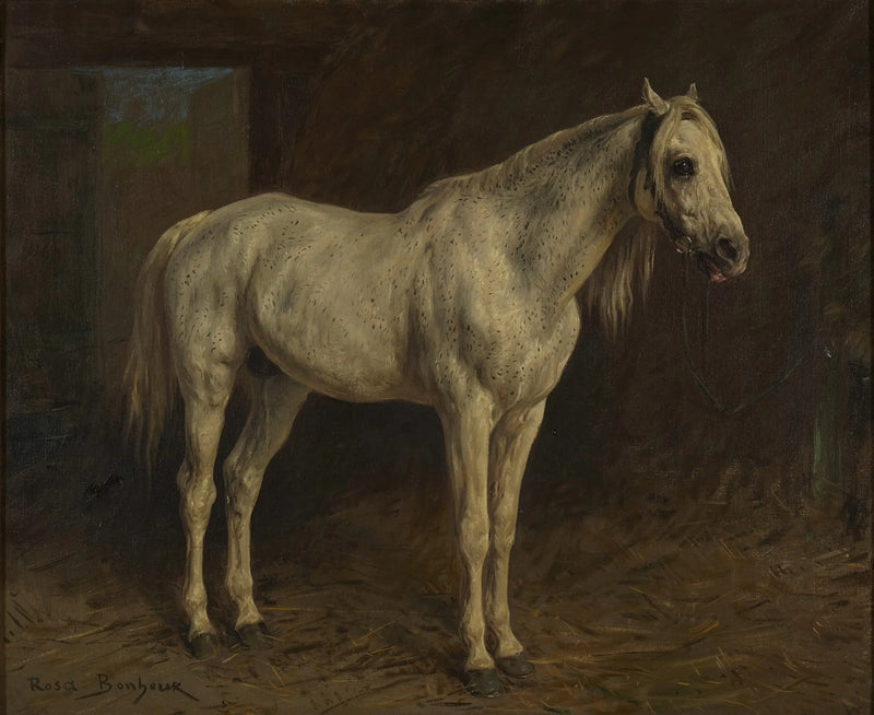 White Horse - Rosa Bonheur