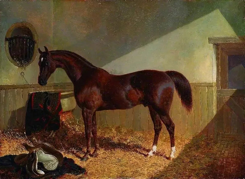 Brown horse in a stable - John Frederick Herring, Sr.