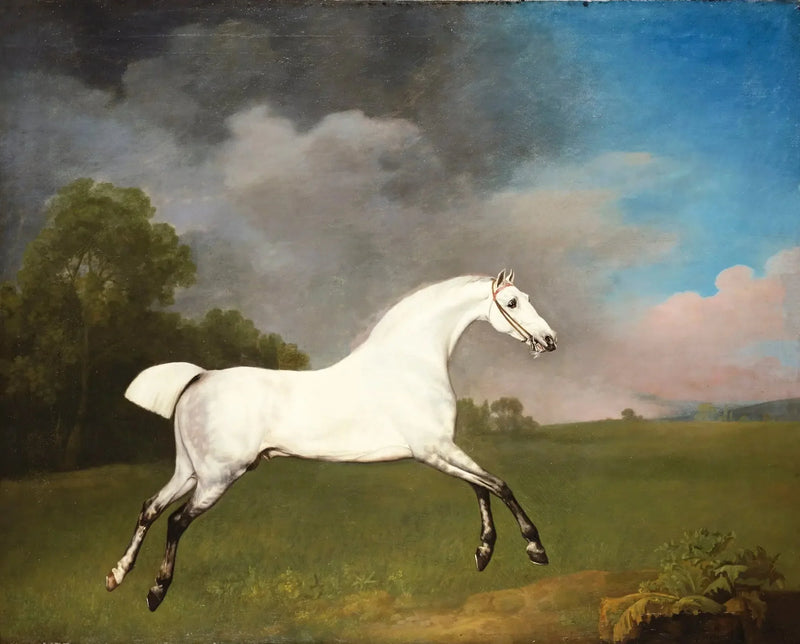 Grey horse galloping in a field - George Stubbs