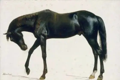 Black Horse - Albert Bierstadt