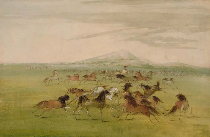 Wild Horses in Play - George Catlin