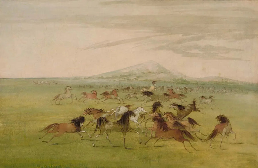 Wild Horses in Play - George Catlin