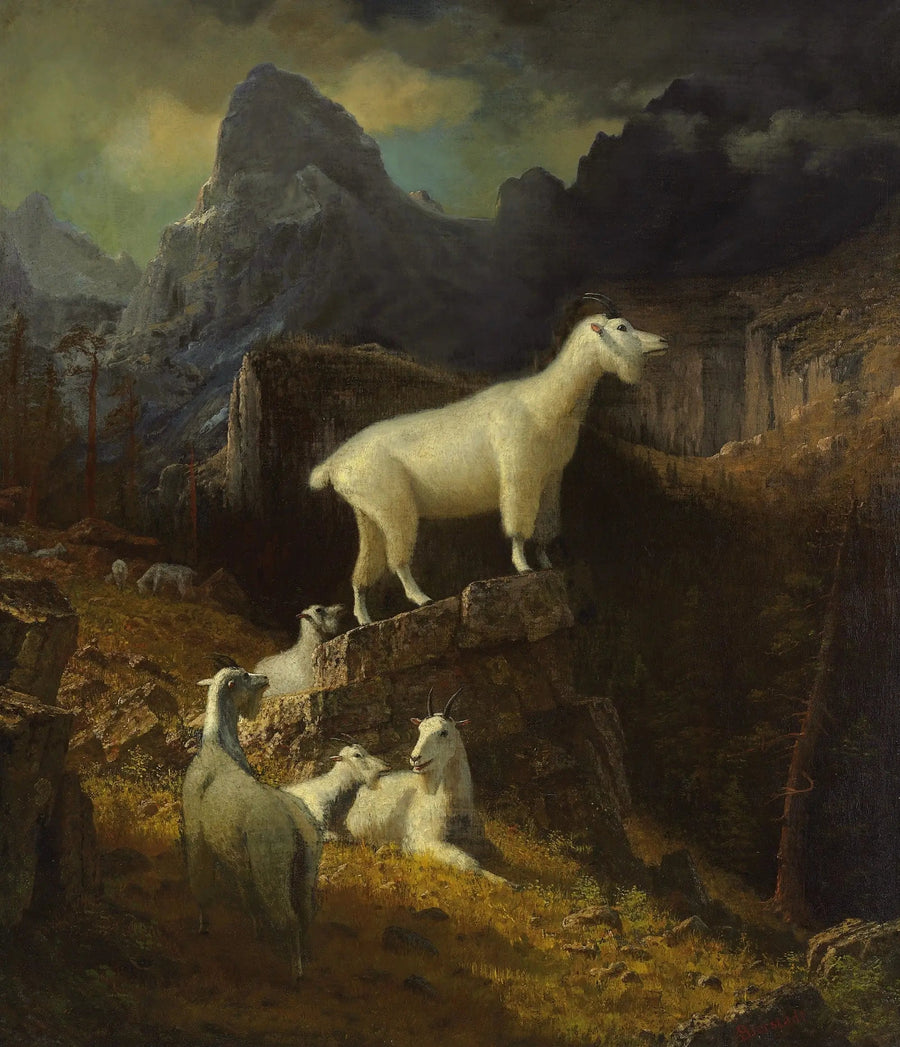 Rocky Mountain Goats - Albert Bierstadt