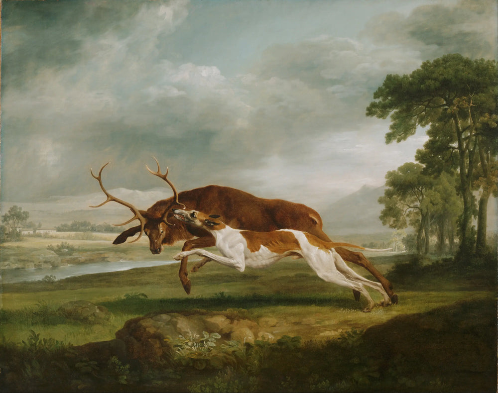 Chien courant à la poursuite d’un cerf - George Stubbs - Alpha Reproduction