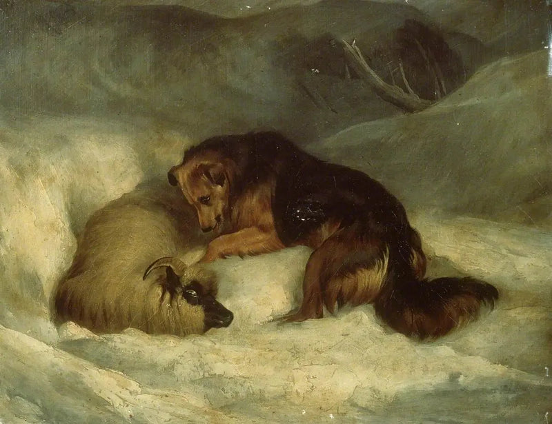 Highland Shepherd Dog in the Snow (formerly known as 