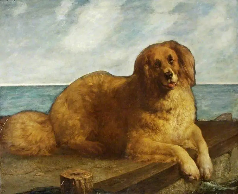 Dog - Edwin Henry Landseer