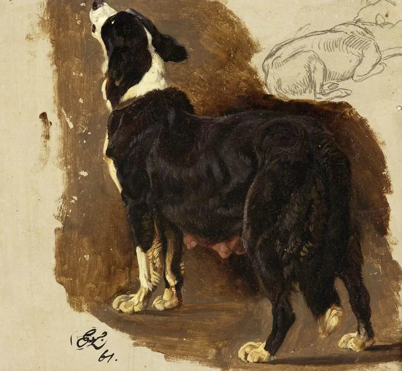 Colley Dog - Edwin Henry Landseer