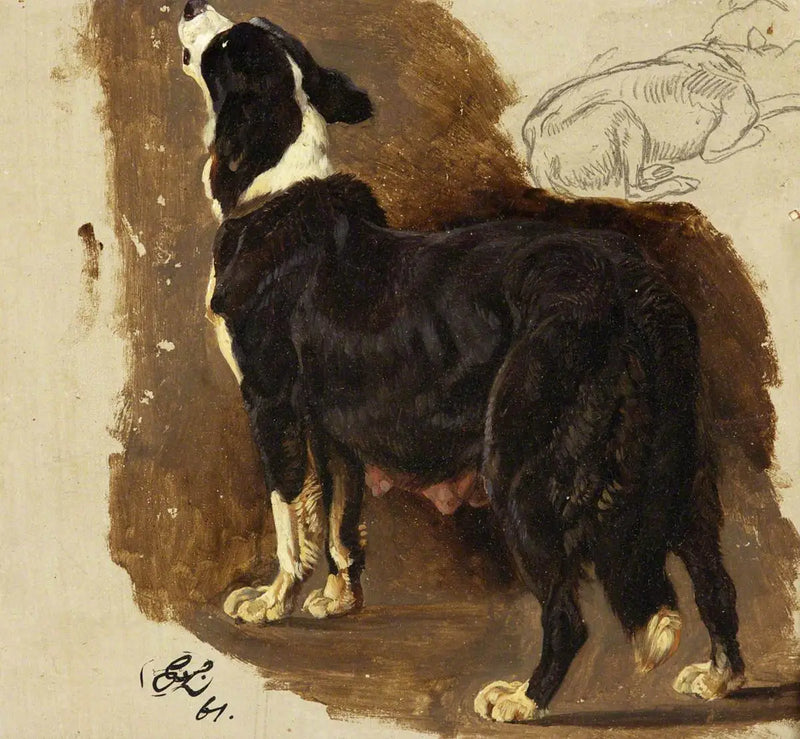 Colley Dog - Edwin Henry Landseer