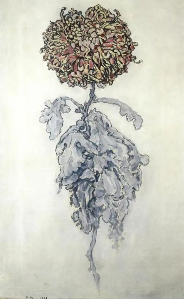 Chrysanthemum - Piet Mondrian