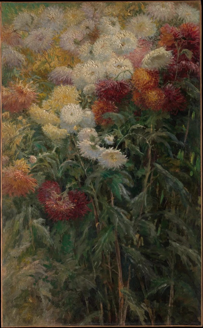 Chrysanthemums in the Garden of Petit Gennevilliers - Gustave Caillebotte