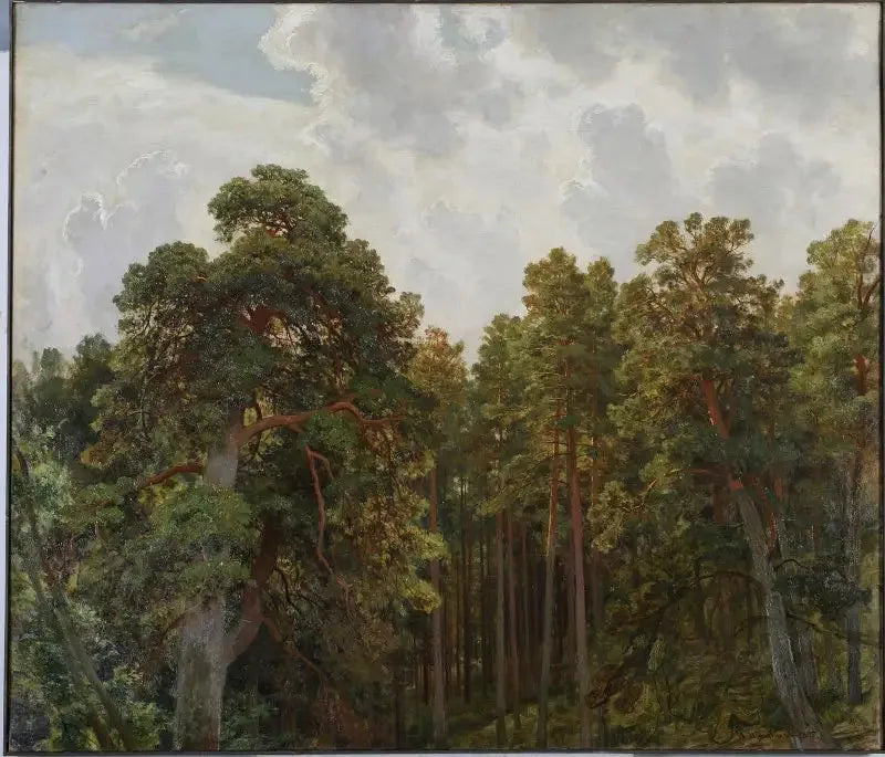 Pine Tops - Ivan Chichkine