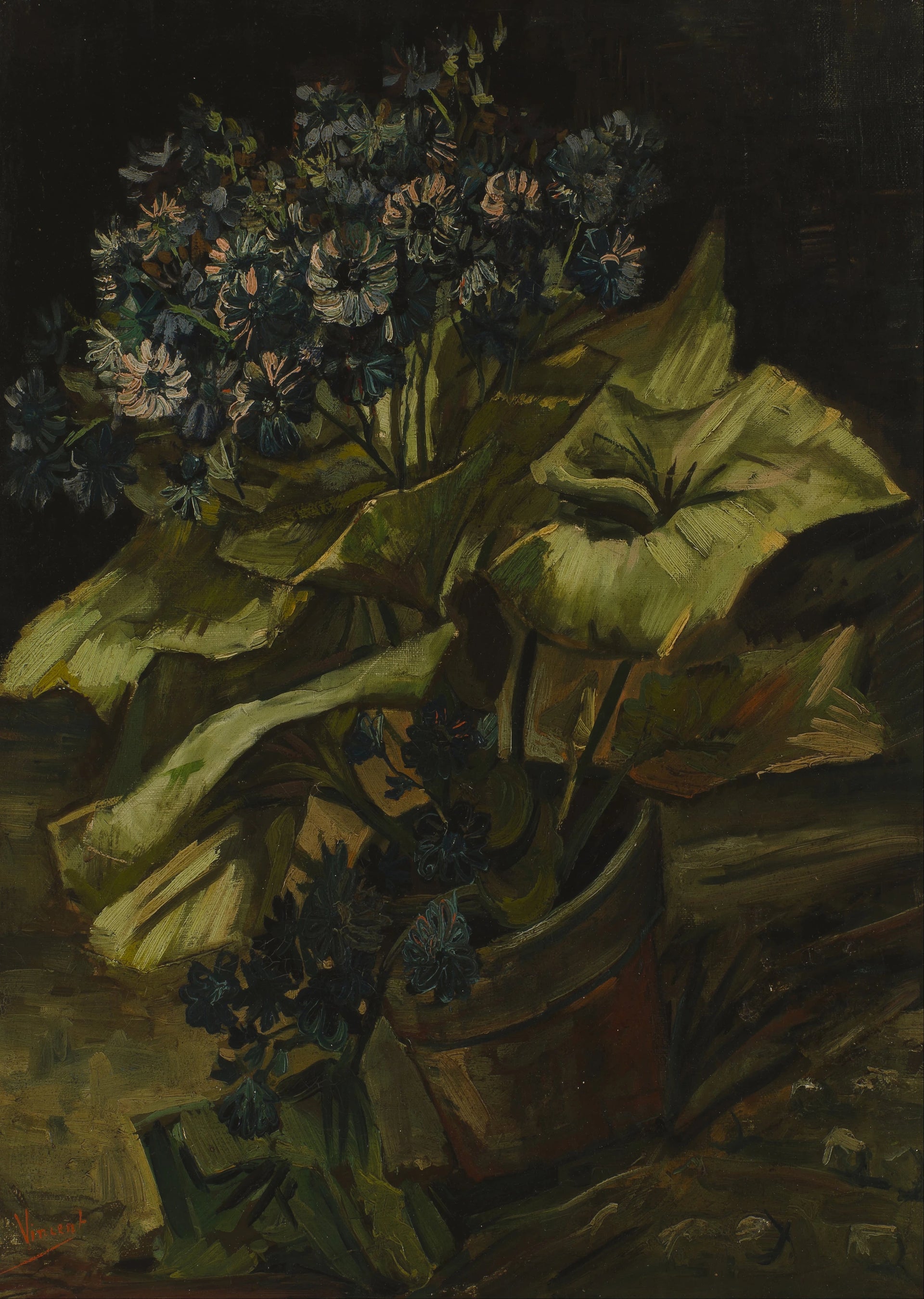Cinéraires dans un pot F282 JH1165 — Vincent van Gogh