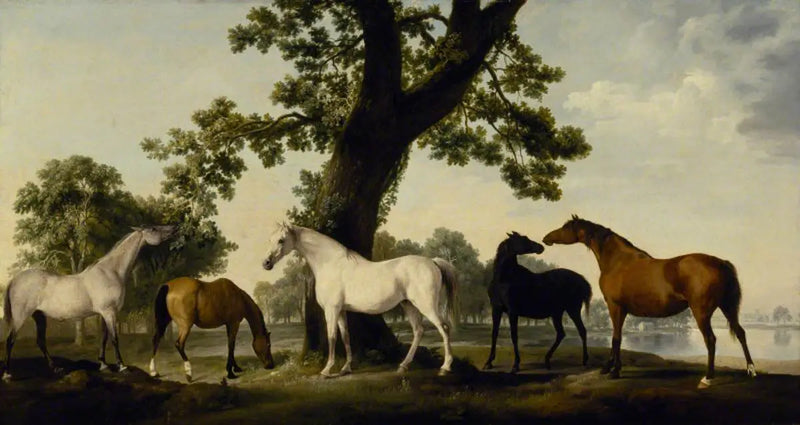 Five Mares at the Duke of Cumberland's Stud Farm in Windsor Great Park - George Stubbs