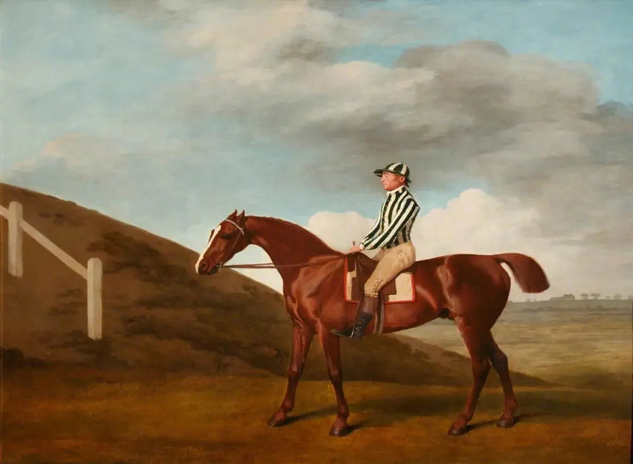 Pumpkin - George Stubbs