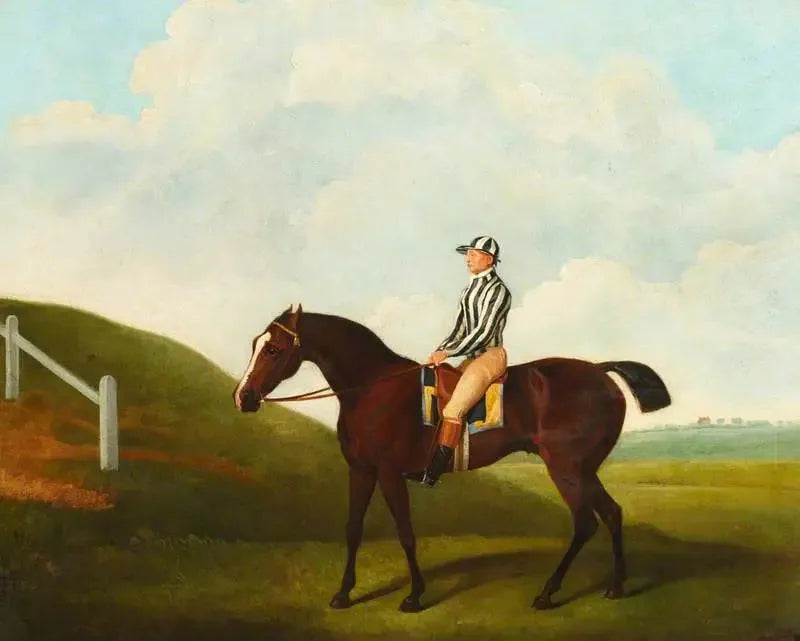 Pumpkin - George Stubbs
