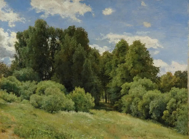 Clearing (Forest Clearing) - Ivan Chichkine