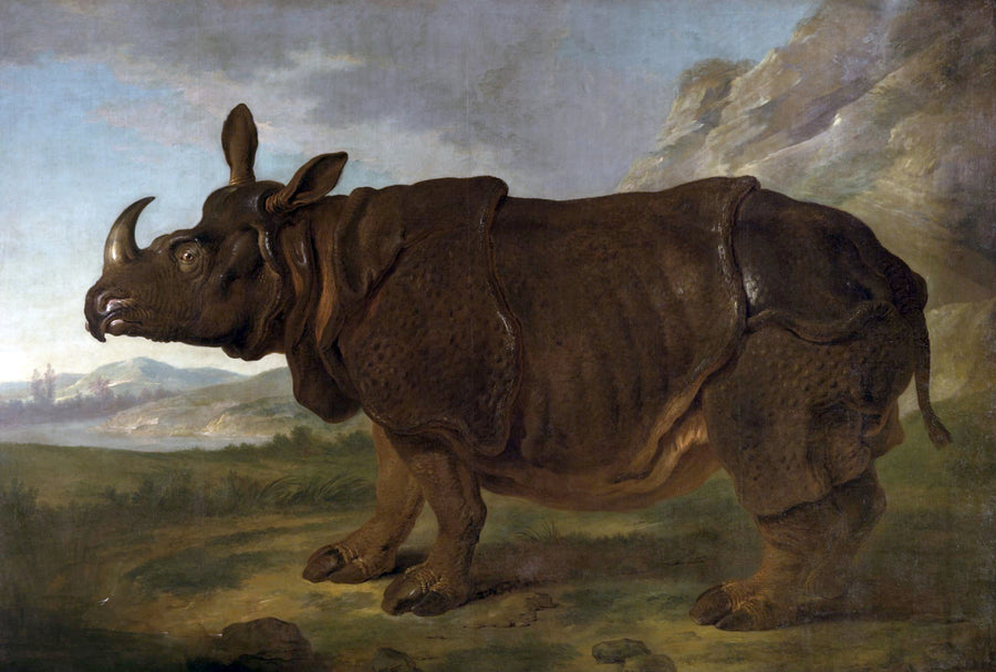 Clara le rhinocéros - Jean-Baptiste Oudry