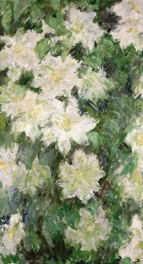 White clematis W1144 - Claude Monet