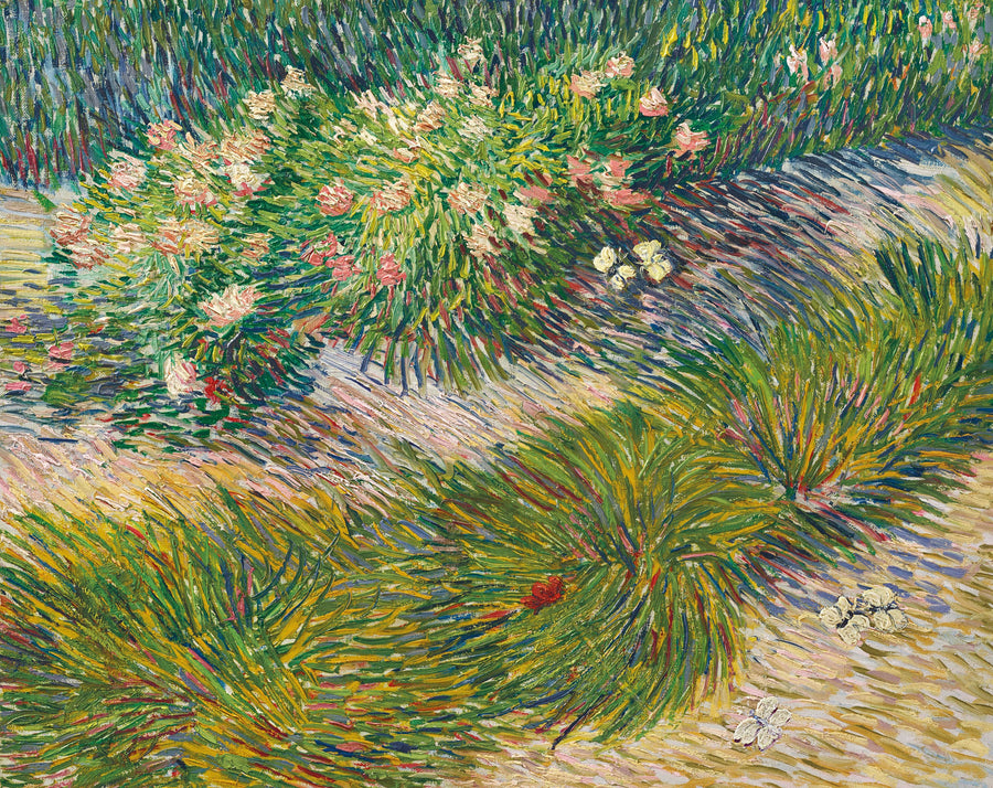 Garden Corner with Butterflies - Vincent van Gogh