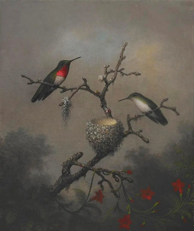 Ruby-throated Hummingbird - Martin Johnson Heade
