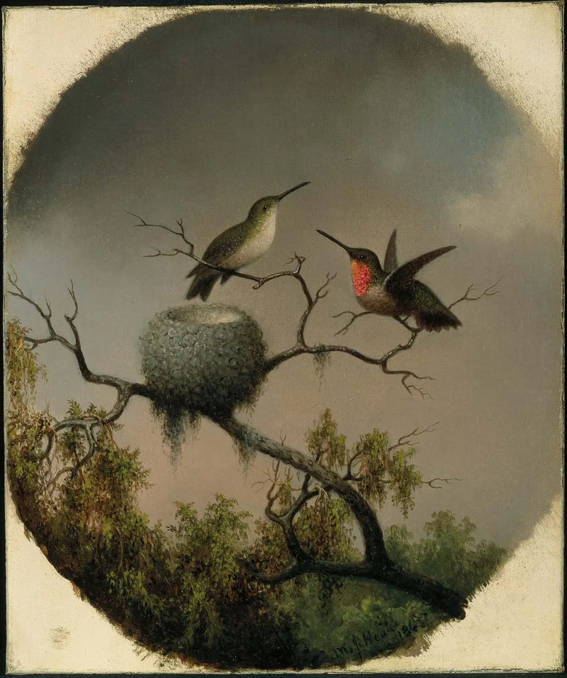 Hummingbirds with nest - Martin Johnson Heade