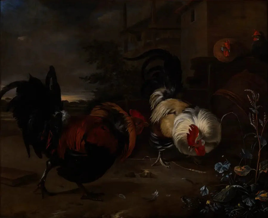 Cockfight - Melchior de Hondecoeter