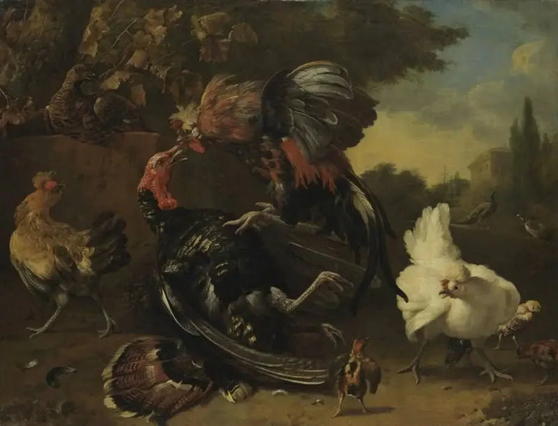 Combat between a rooster and a turkey - Melchior de Hondecoeter