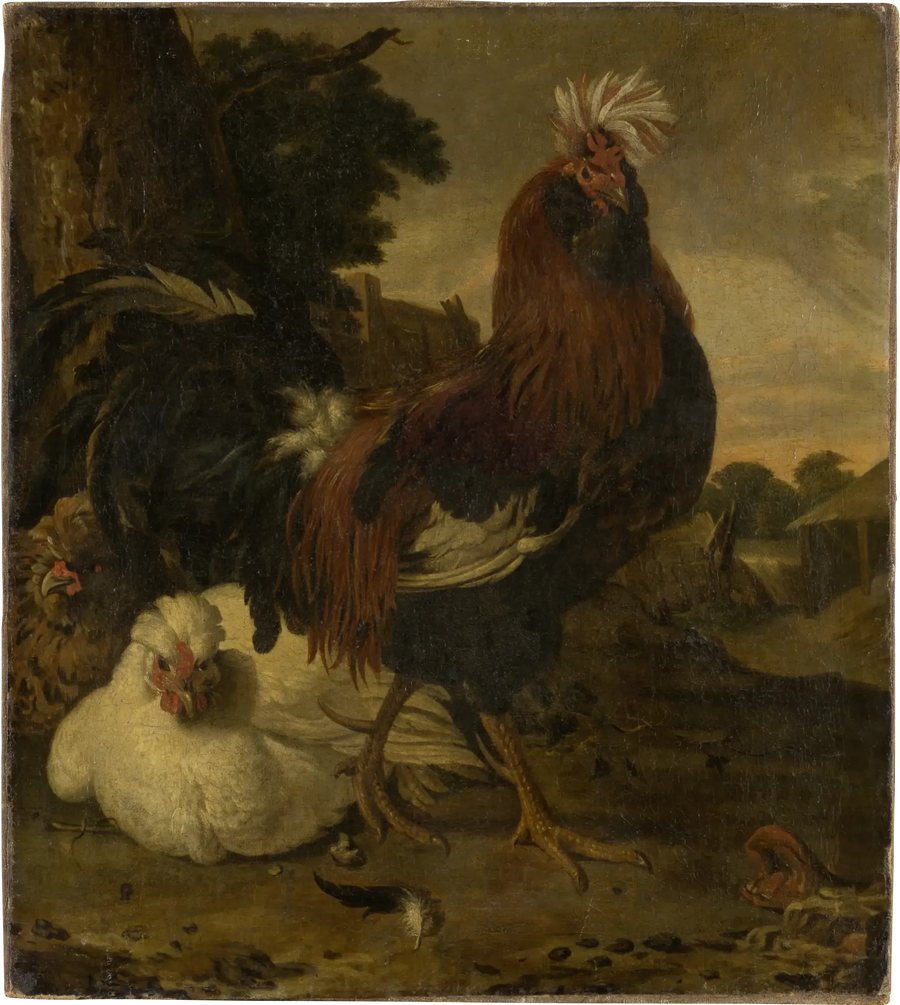 Rooster in a Farmyard - Melchior de Hondecoeter
