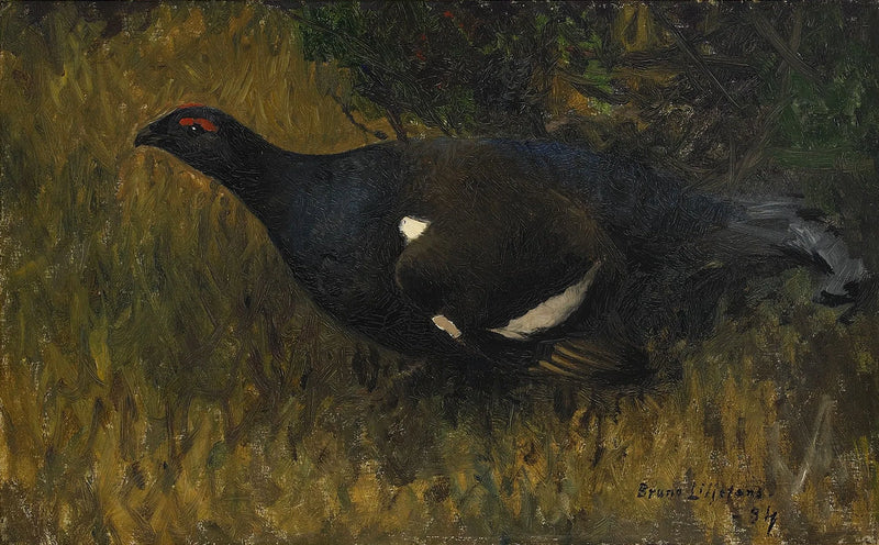 Black grouse rooster - Bruno Liljefors
