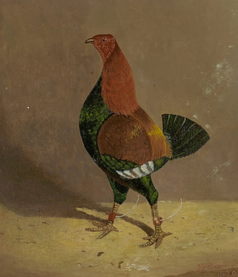Combat Roosters: a dark-chested combat rooster, facing left - John Frederick Herring, Sr.