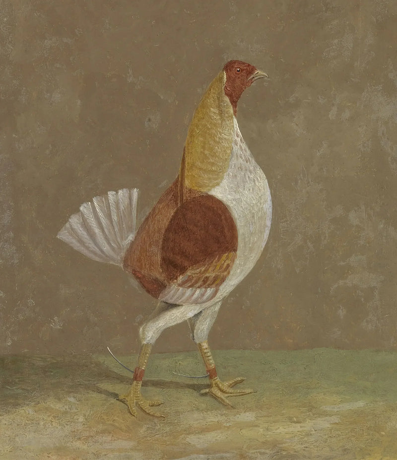 Combat Roosters: a combat rooster with a pale chest, turned to the right - John Frederick Herring, Sr.