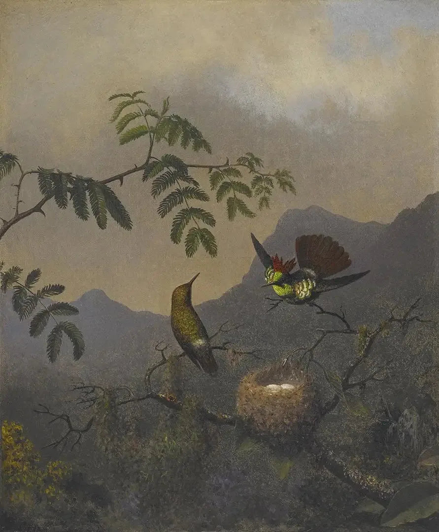 Flouncy Girl with Ruffles - Martin Johnson Heade