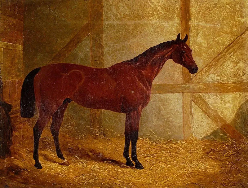 Cotherstone, winner of the Derby - John Frederick Herring, Sr.