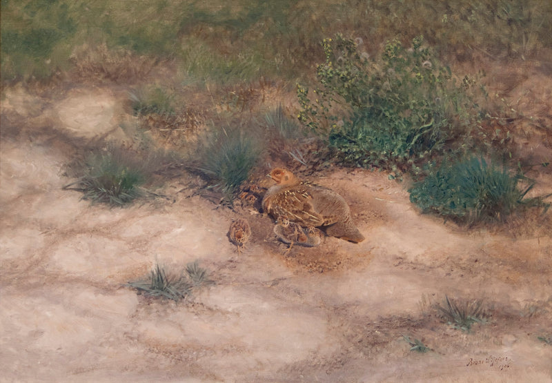 Partridge brood - Bruno Liljefors