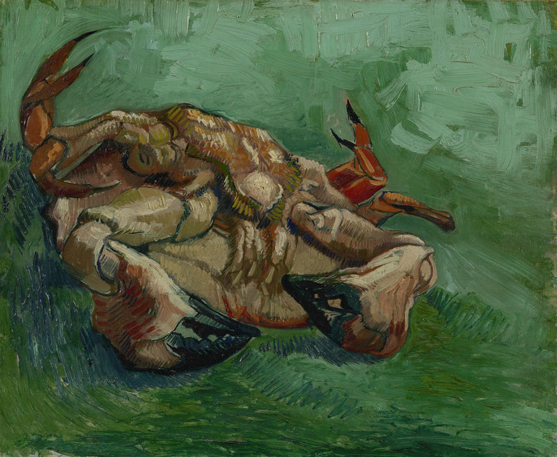 Crab, lying on its back - Vincent van Gogh