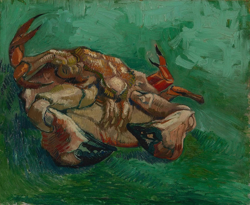 Crab, lying on its back - Vincent van Gogh