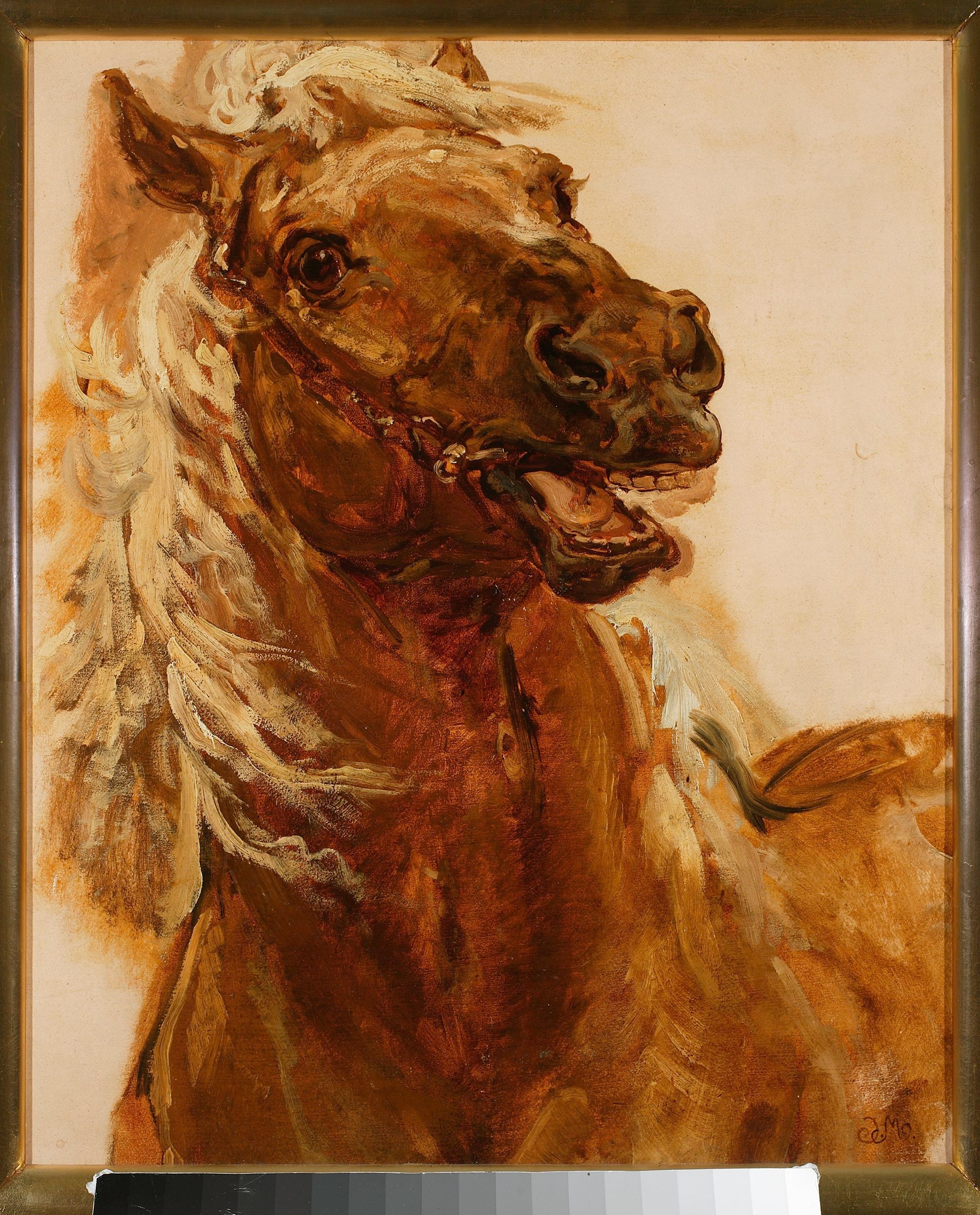 Sketch of a horse's head for the painting « Zamoyski à Byczyna » - Jan Matejko