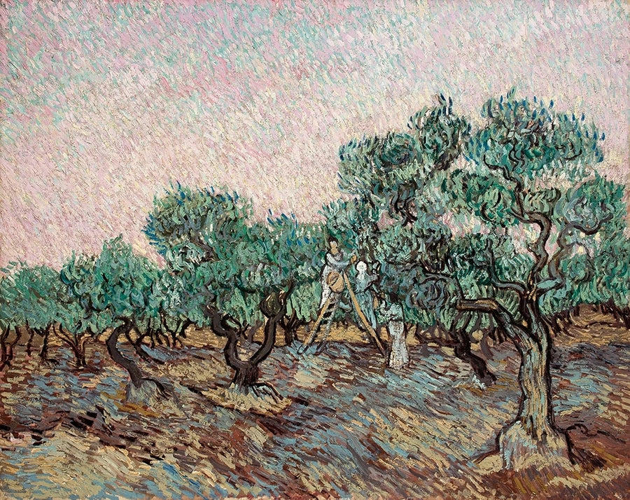 Olive Harvest - Vincent van Gogh