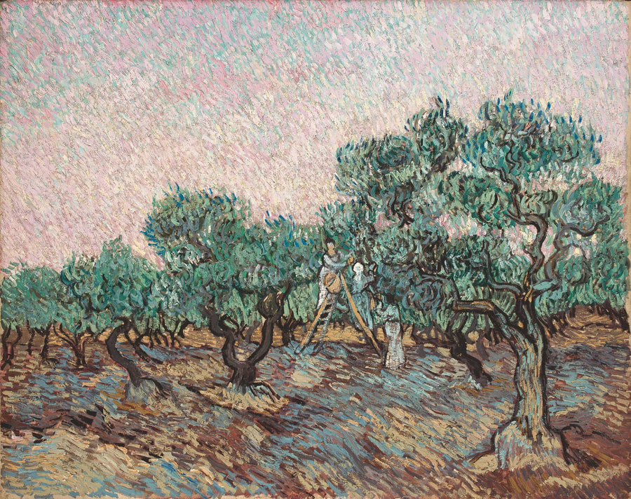 The Olive Harvest - Vincent van Gogh