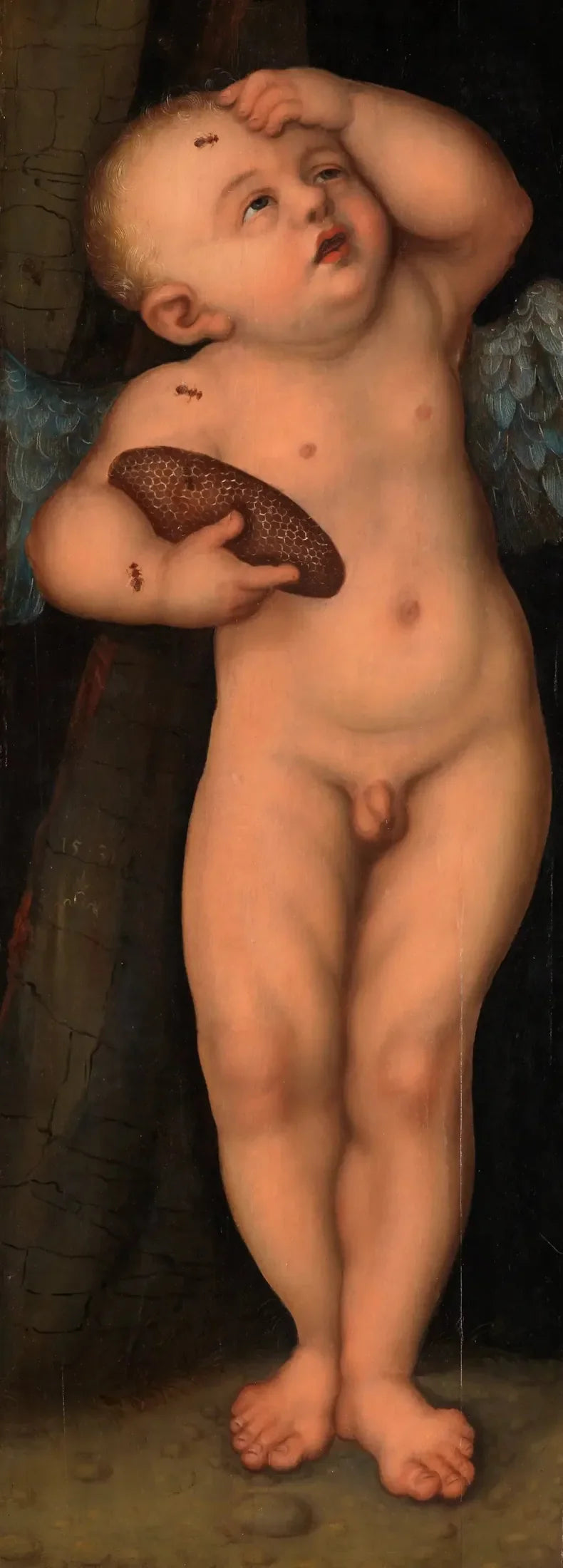 Cupid as a Honey Thief - Lucas Cranach the Elder