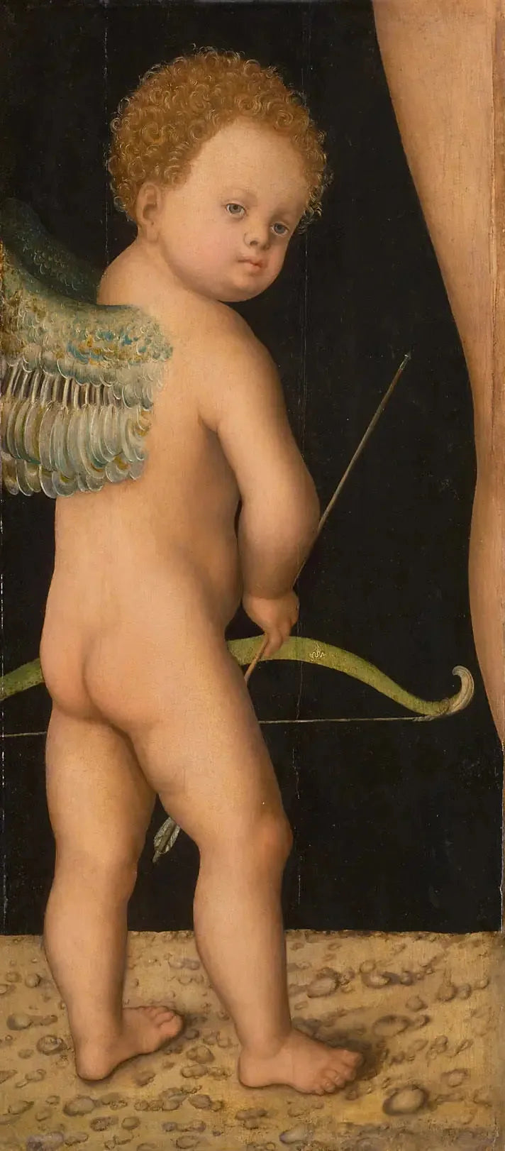 Cupid - Lucas Cranach the Elder