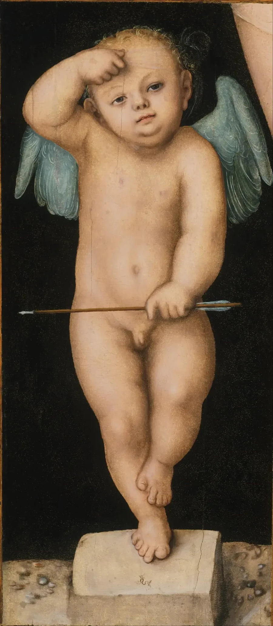 Cupid - Lucas Cranach the Elder