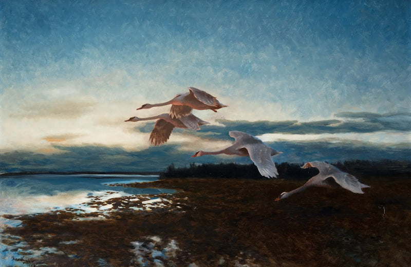 Swans - Bruno Liljefors
