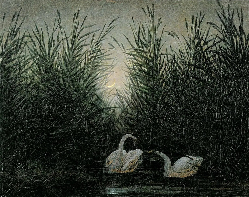 Swans in the Reeds at the First Light of Dawn - Caspar David Friedrich