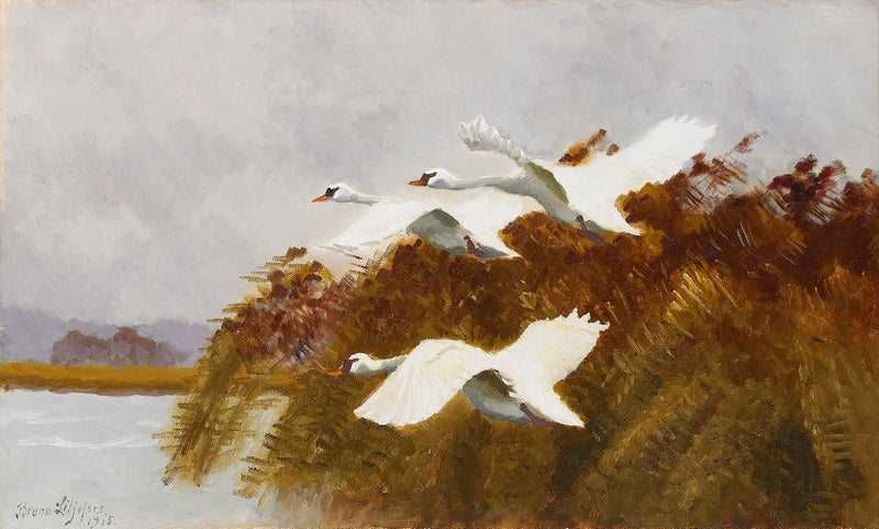 Stretched Swans - Bruno Liljefors