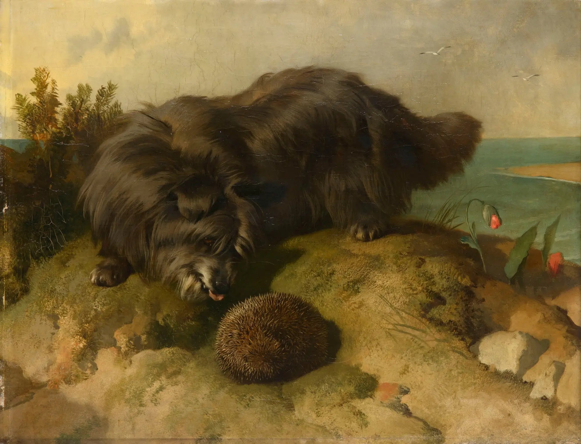 Dandie Dinmont - Edwin Henry Landseer - Alpha Reproduction